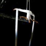 Vertigo - Vertikaltuch - Gruppe performances - Foto 91 von 99