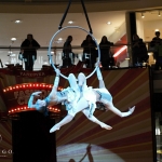 Vertigo - Aerial Ring Duo - photo 15 of 34