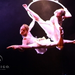 Vertigo - Aerial Ring Duo - photo 31 of 34