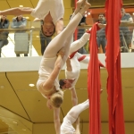 Vertigo - Aerial Silk Duo - photo 55 of 55