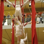 Vertigo - Aerial Silk Duo - photo 35 of 55