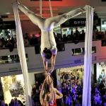 Vertigo - Aerial Silk Duo - photo 34 of 55