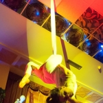 Vertigo - Aerial Silk - Group Acts - photo 88 of 99