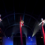 Vertigo - Aerial Silk - Group Acts - photo 1 of 99