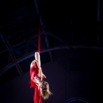 Vertigo - Aerial Silk - Group Acts - photo 70 of 99