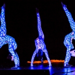 Vertigo - Light & UV Show - Human Light - photo 9 of 54